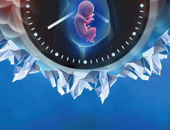 杭州代生代怀,试管婴儿技术生出来的宝宝畸形率会比正常生育出生的宝宝要高
